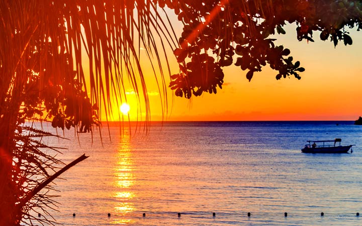 Jamaïque (Montego Bay)